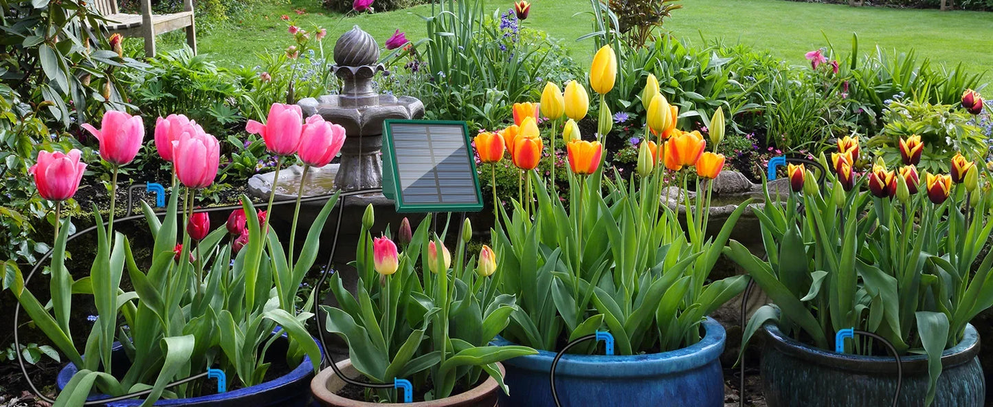 Solar Garden Irrigation System for Balcony with Automatic Drip Kit