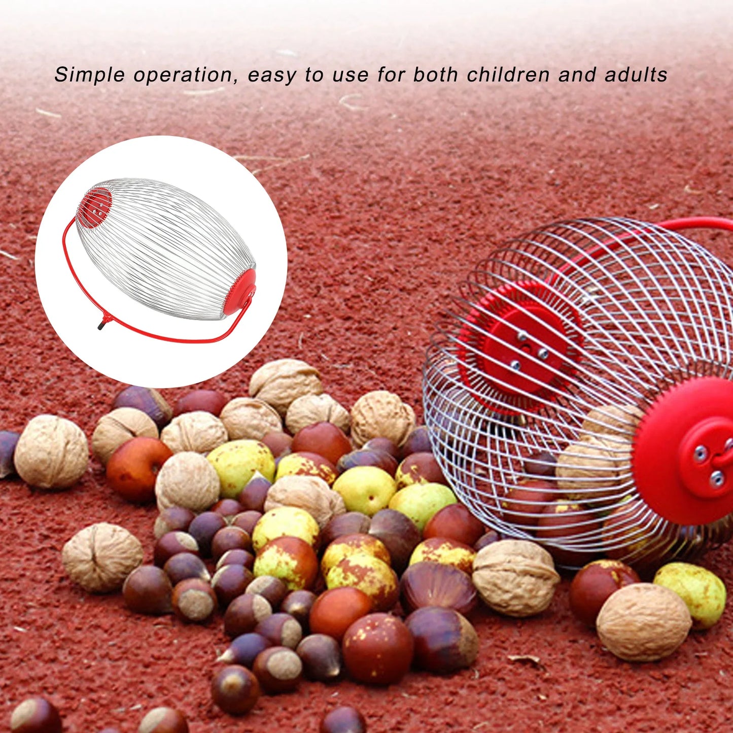 Large Nut Gatherer Nut Gatherer Stainless Steel Wire Nut Collector Picker Upper Roller Fruit Picker for Ball Acorns Pecans