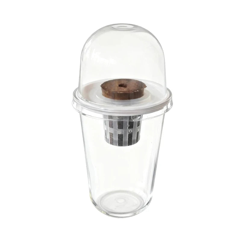Clear Plant Germination Cups For Hydroponic Seed Starters