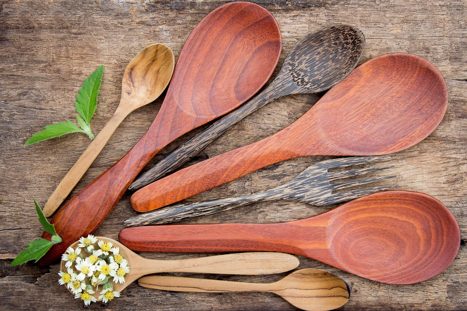 Kitchen Tools & Gadgets