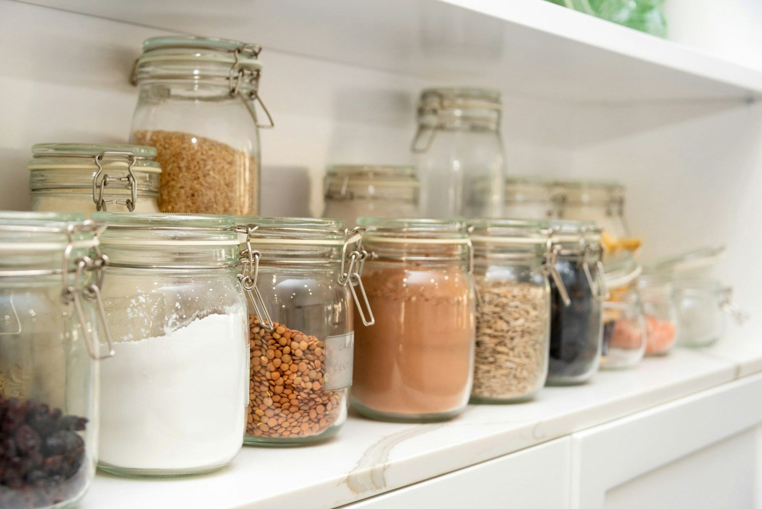 Food Storage & Organization