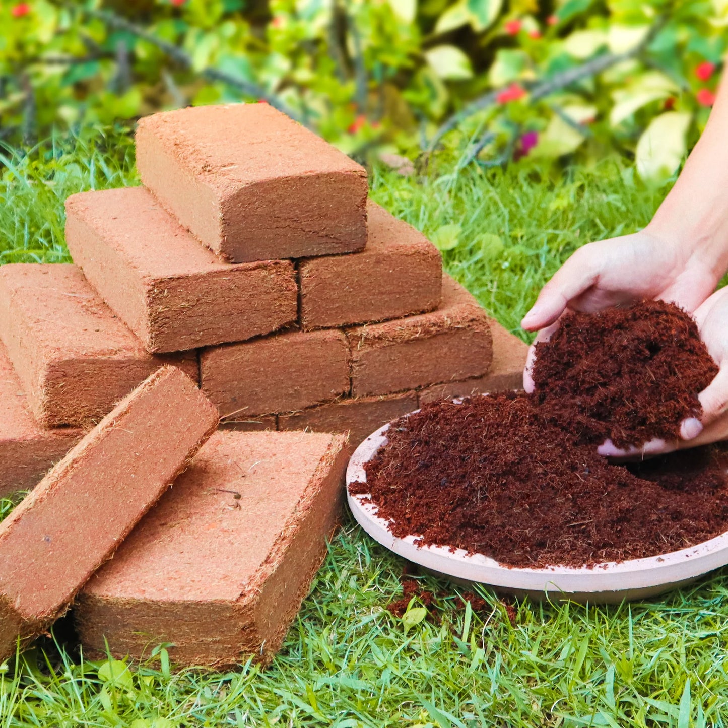 12-Pack Coco Coir Brick for Plants Premium Organic Gardening