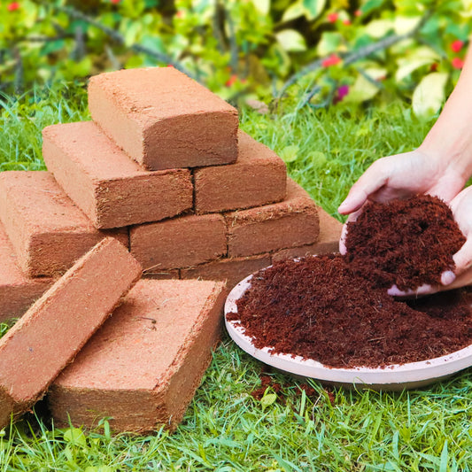 12-Pack Coco Coir Brick for Plants Premium Organic Gardening