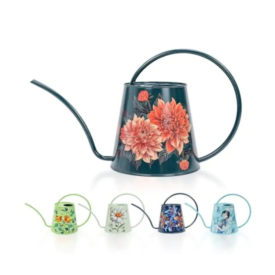 Stainless Steel Watering Can For House Plants Indoor Outdoor