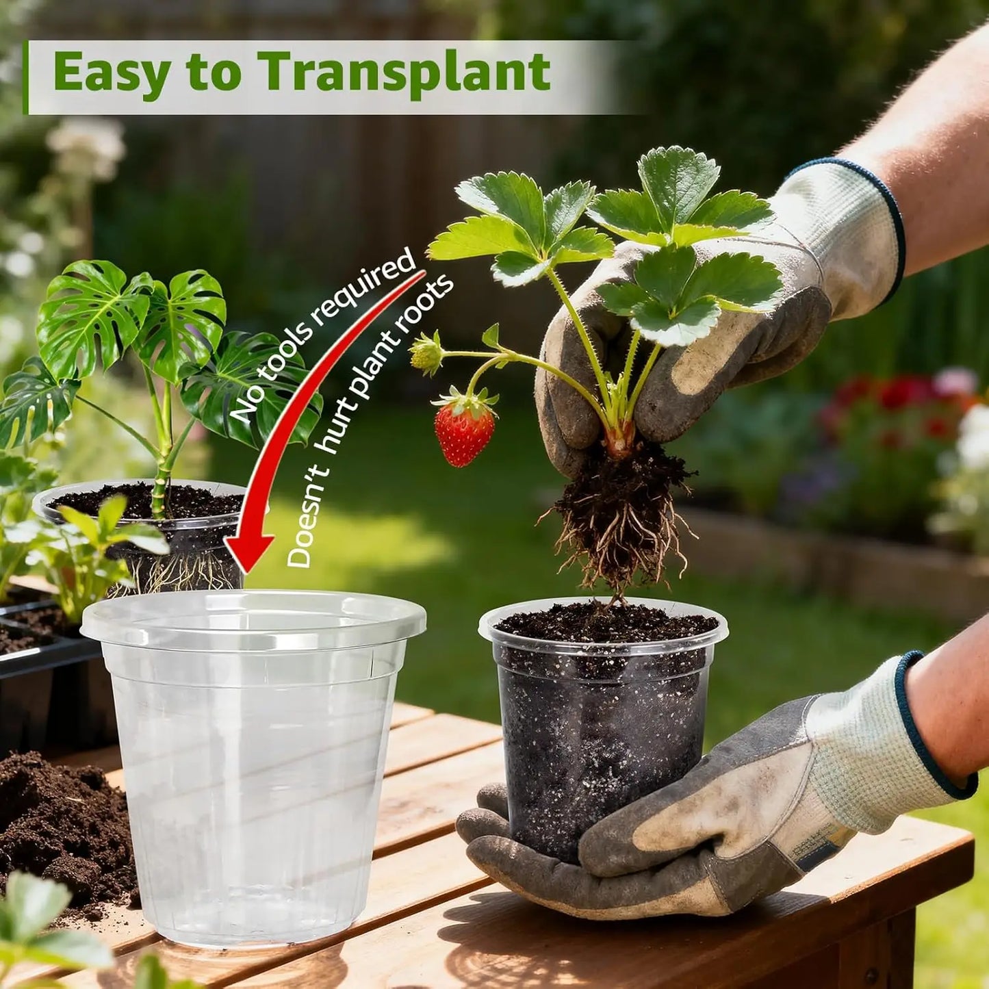 Clear Nursery Pots With Drainage Holes Seed Starter Set