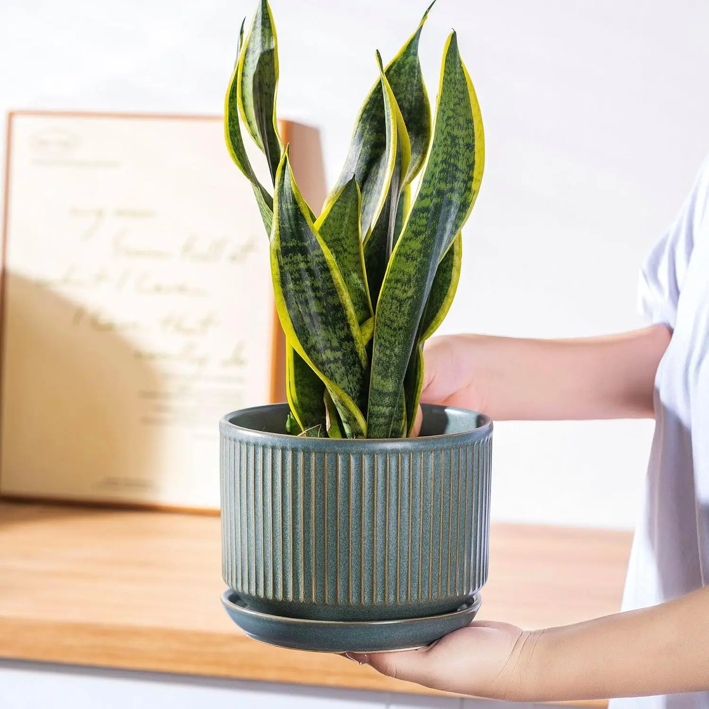 SURE YUESI Ceramic Plant Pots Set of 3, Indoor Outdoor Planters with Drainage Hole and Saucer, Ceramic Flower Pots for Indoor Plants, 4.3+5.5+6.8 Inch, Home, Garden, Patio and Office, Matte Green