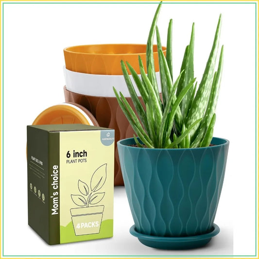 Porcelain Indoor Plant Pots With Drainage And Trays Four Pack
