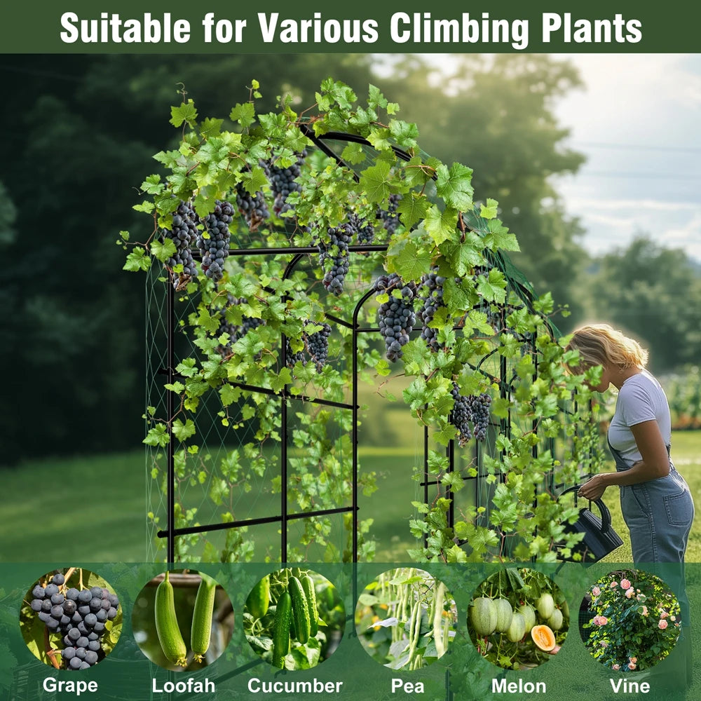 Wisfor U Shaped Metal Tall Garden Plant Trellis For Climbing