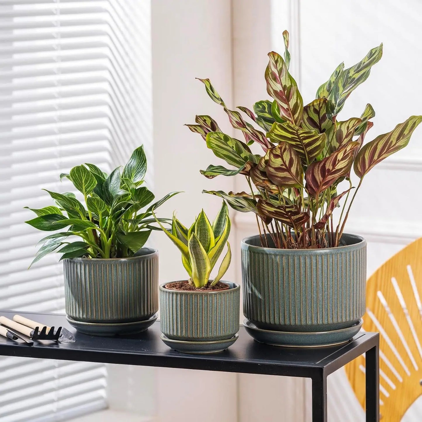 SURE YUESI Ceramic Plant Pots Set of 3, Indoor Outdoor Planters with Drainage Hole and Saucer, Ceramic Flower Pots for Indoor Plants, 4.3+5.5+6.8 Inch, Home, Garden, Patio and Office, Matte Green