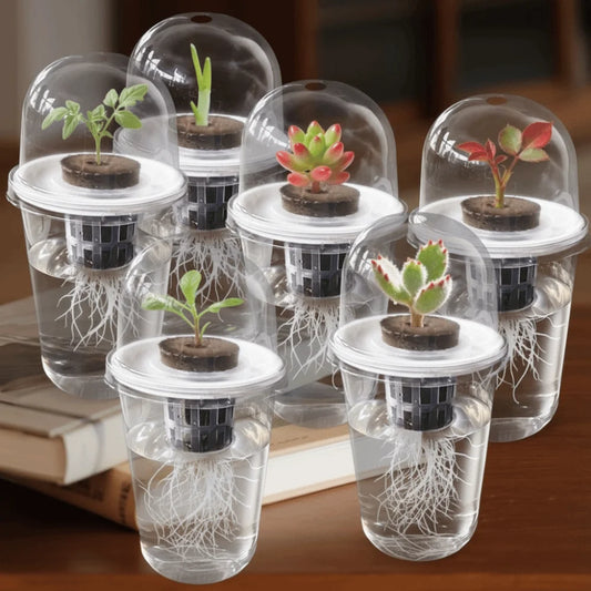 Clear Plant Germination Cups For Hydroponic Seed Starters