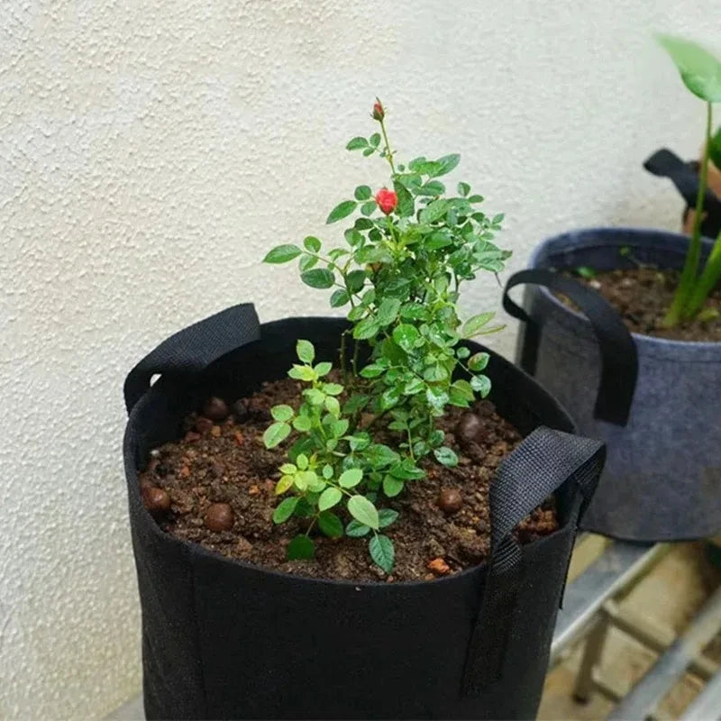 10pcs Grow Bags 5 Gallon Garden Planting Nonwoven Fabric Pots with Reinforced Handle Black