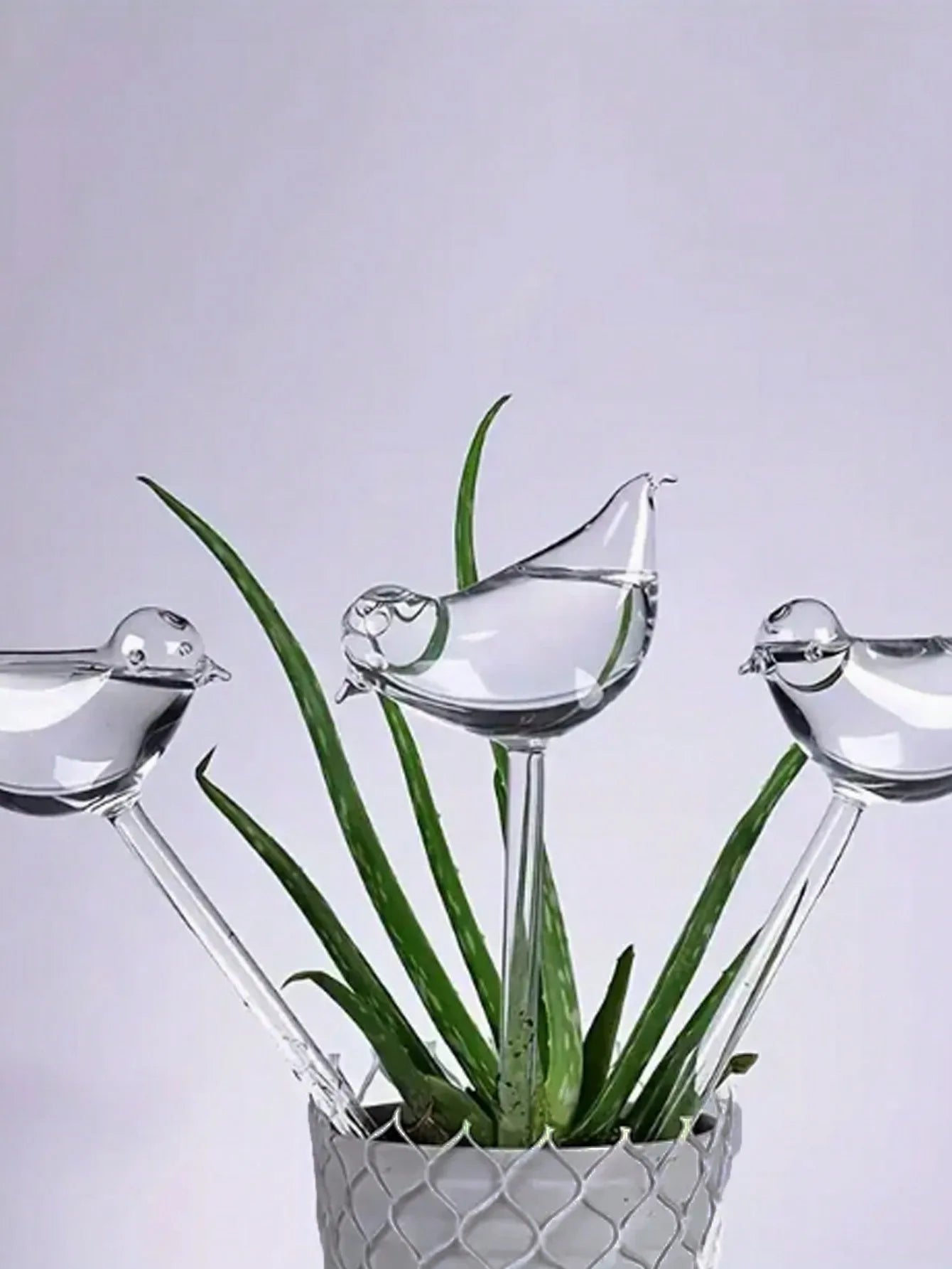 1 Automatic Watering Machine PVC Soft Watering Machine Travel Drip Irrigation Flower Self Watering Plant Bracket Suitable for Indoor and Outdoor Plants