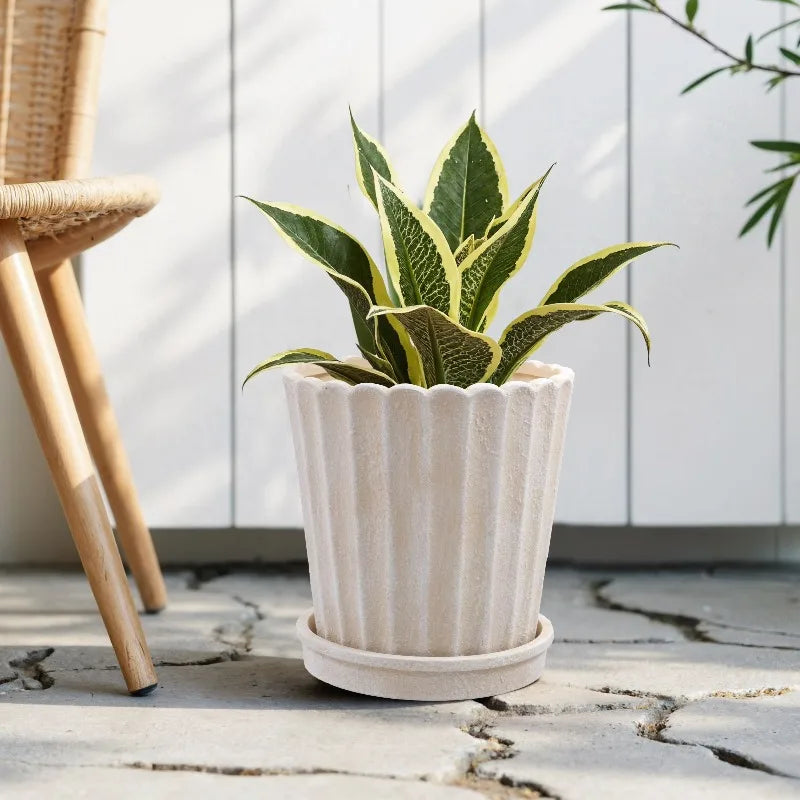 Shell Planter Ceramic Indoor Outdoor Flower Pot Elegant