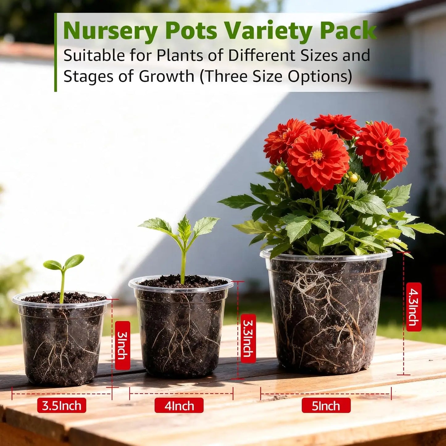 Clear Nursery Pots With Drainage Holes Seed Starter Set