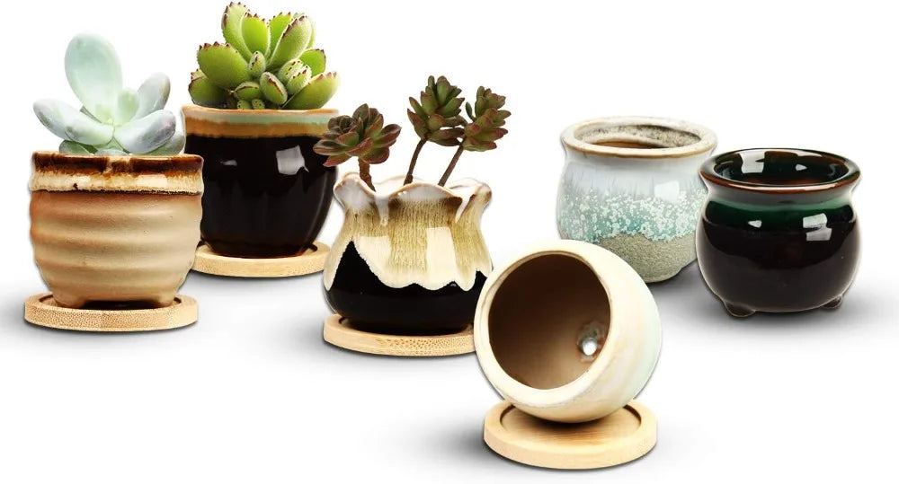 Mini Ceramic Succulent Pots Set of Six with Drainage Holes