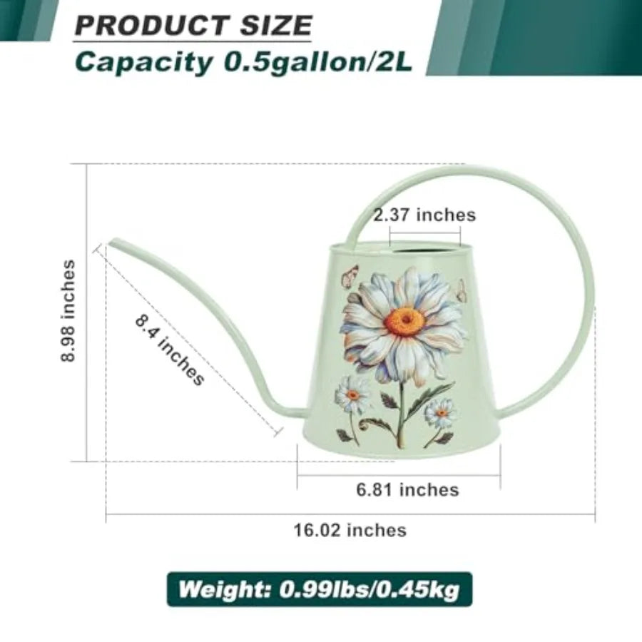 Stainless Steel Watering Can For House Plants Indoor Outdoor