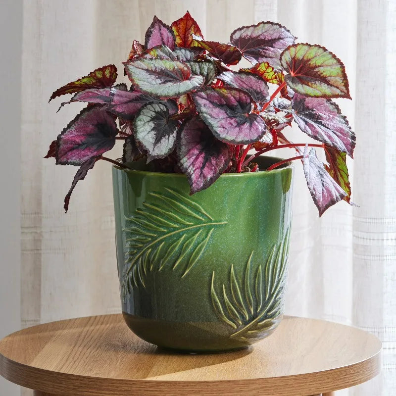 Ceramic Planter With Botanical Design For Indoor And Outdoor