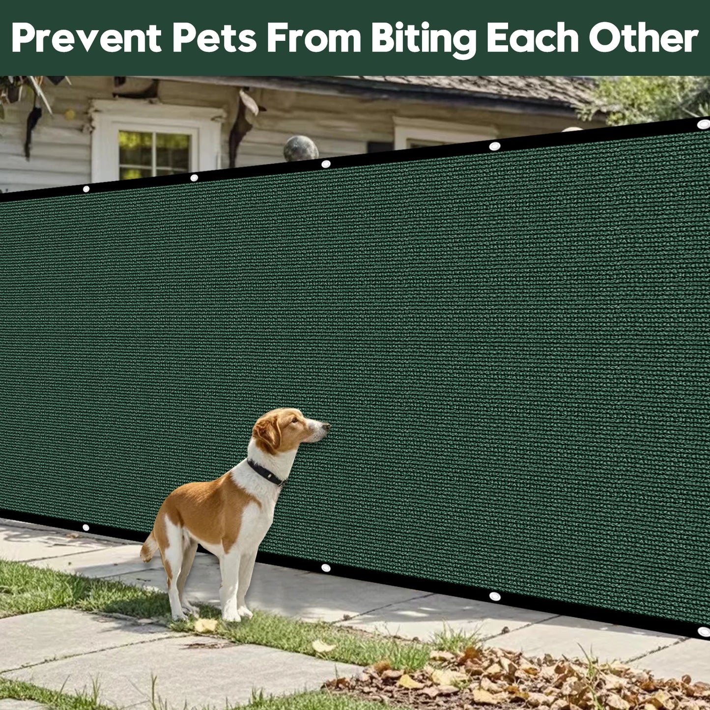 Outdoor Privacy Screen Fence For Backyard Windshield Protection