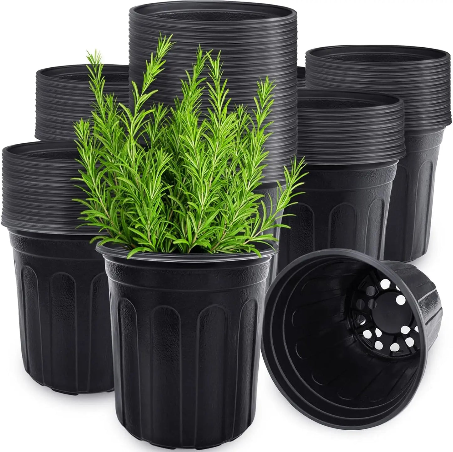 60 Pack Nursery Pots With Drainage For Seedlings And Houseplants