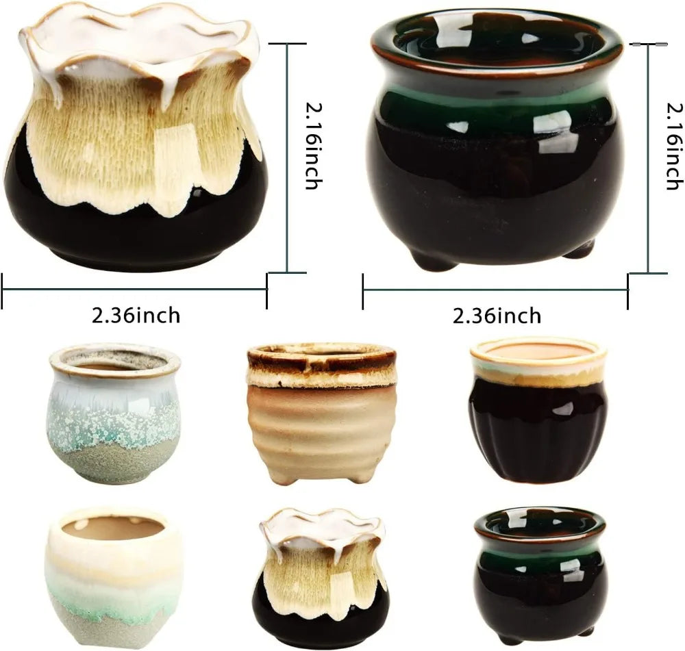 Mini Ceramic Succulent Pots Set of Six with Drainage Holes