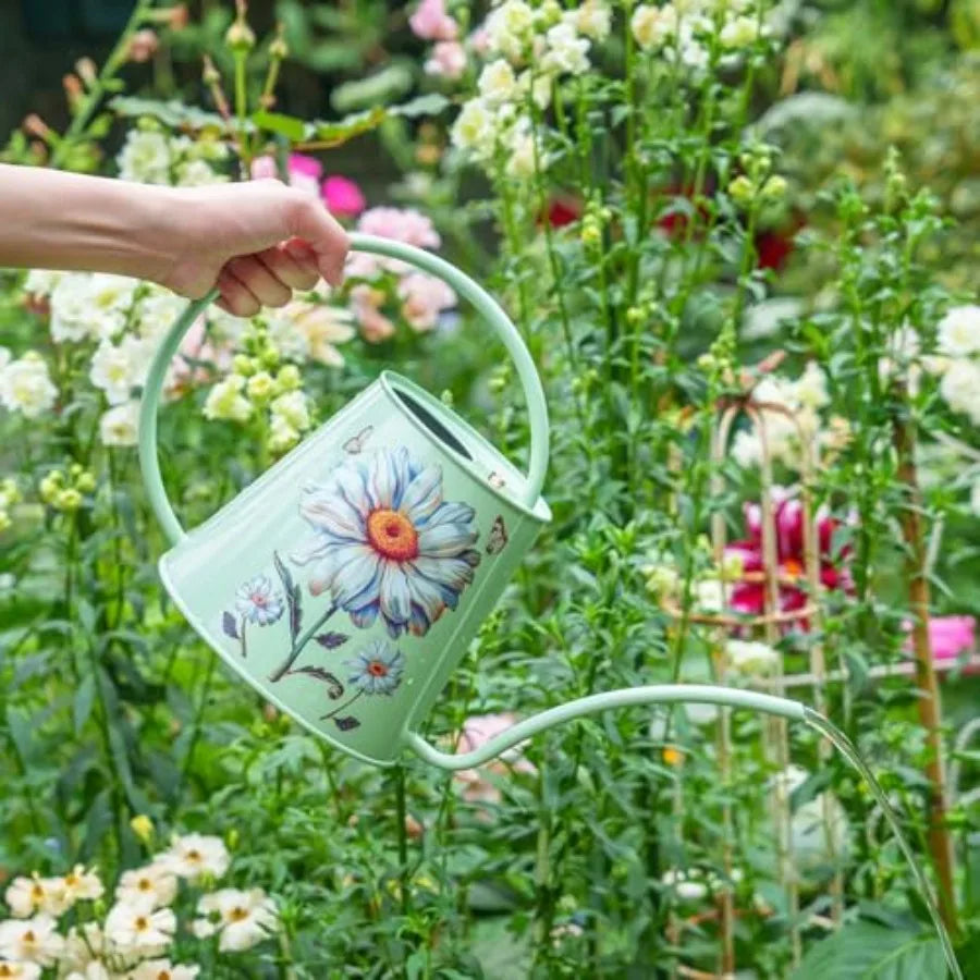 Stainless Steel Watering Can For House Plants Indoor Outdoor