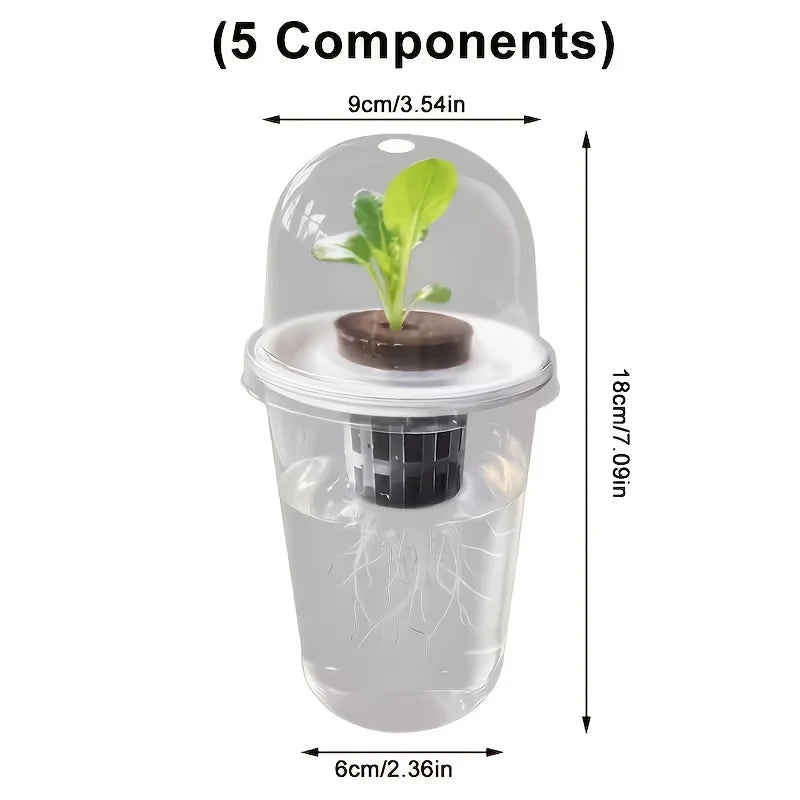 Clear Plant Germination Cups For Hydroponic Seed Starters