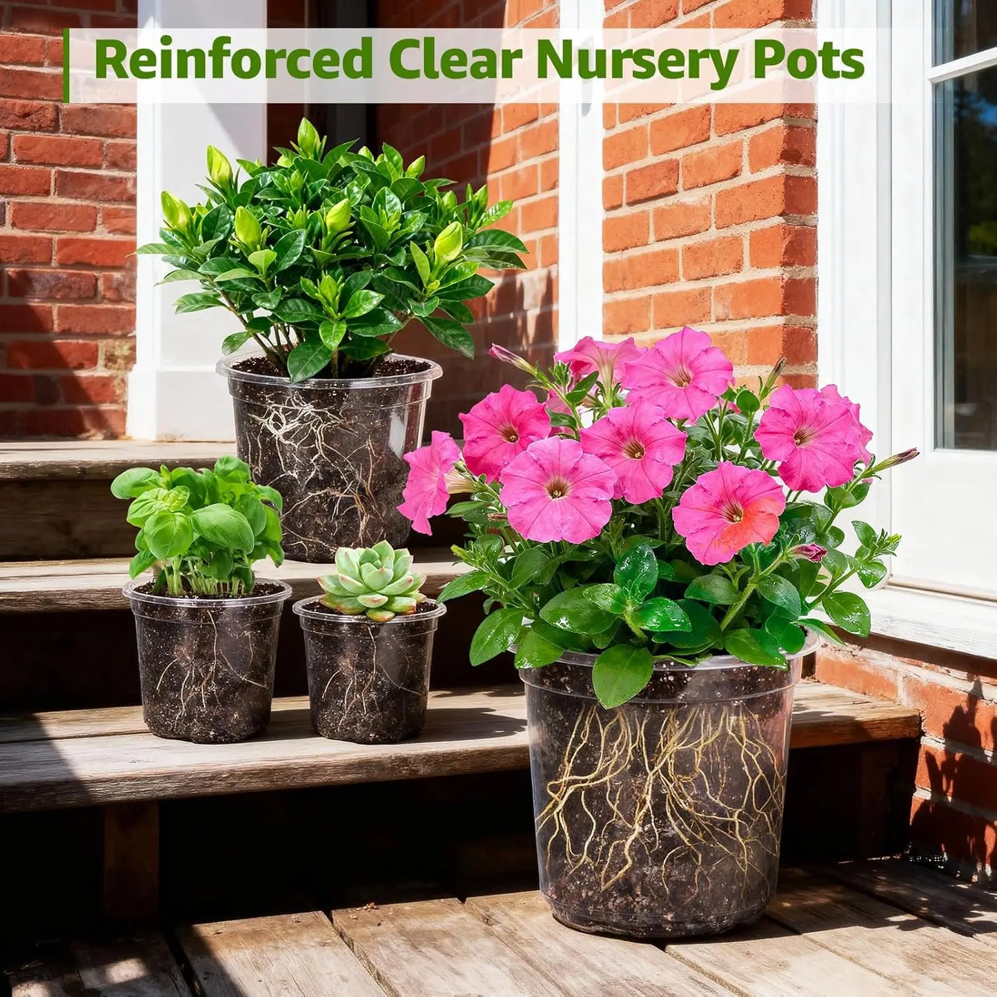 Clear Nursery Pots With Drainage Holes Seed Starter Set