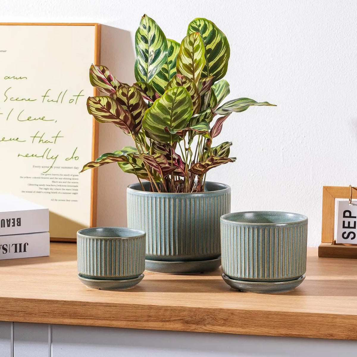 SURE YUESI Ceramic Plant Pots Set of 3, Indoor Outdoor Planters with Drainage Hole and Saucer, Ceramic Flower Pots for Indoor Plants, 4.3+5.5+6.8 Inch, Home, Garden, Patio and Office, Matte Green