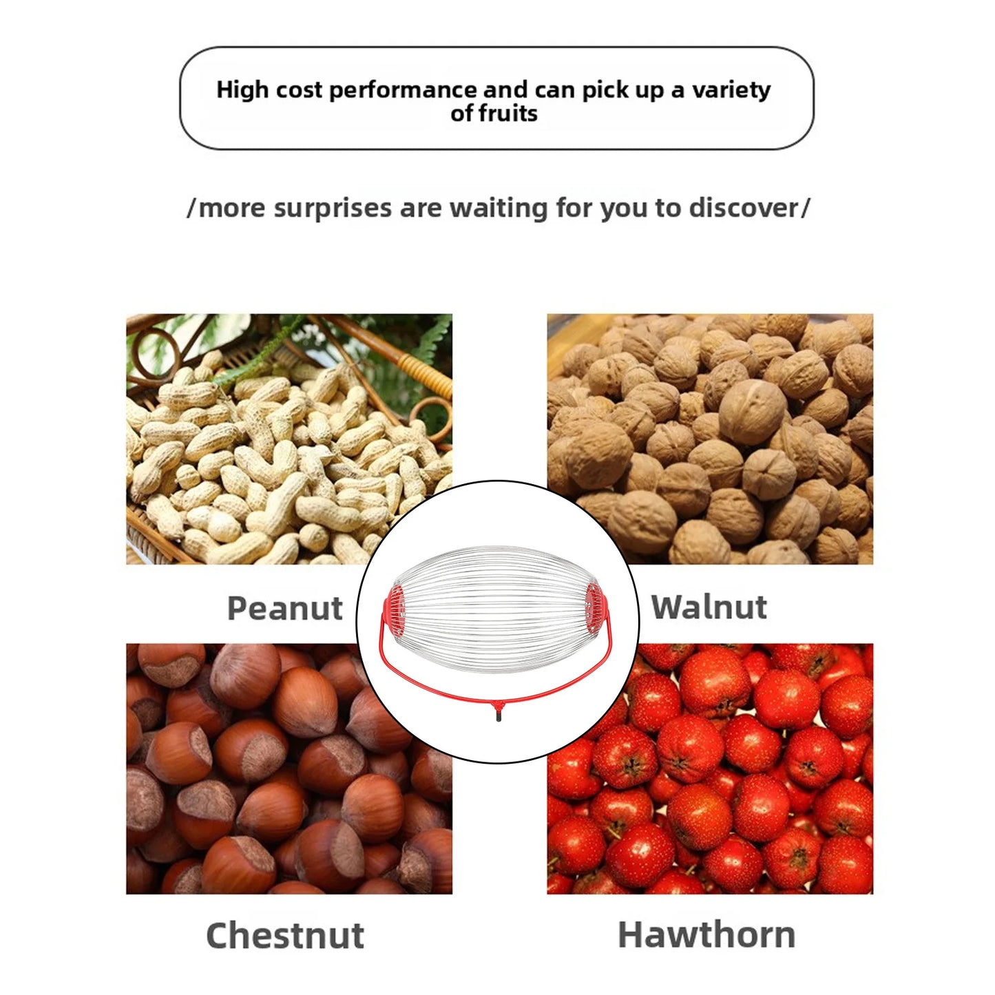 Large Nut Gatherer Nut Gatherer Stainless Steel Wire Nut Collector Picker Upper Roller Fruit Picker for  Ball Acorns Pecans