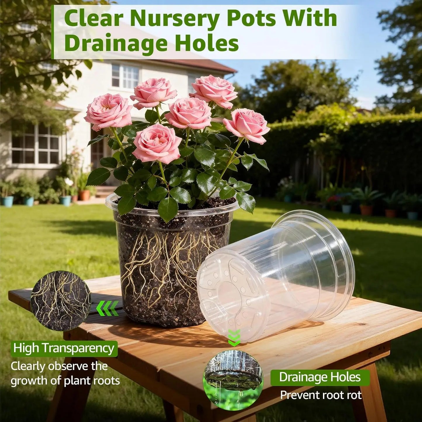 Clear Nursery Pots With Drainage Holes Seed Starter Set