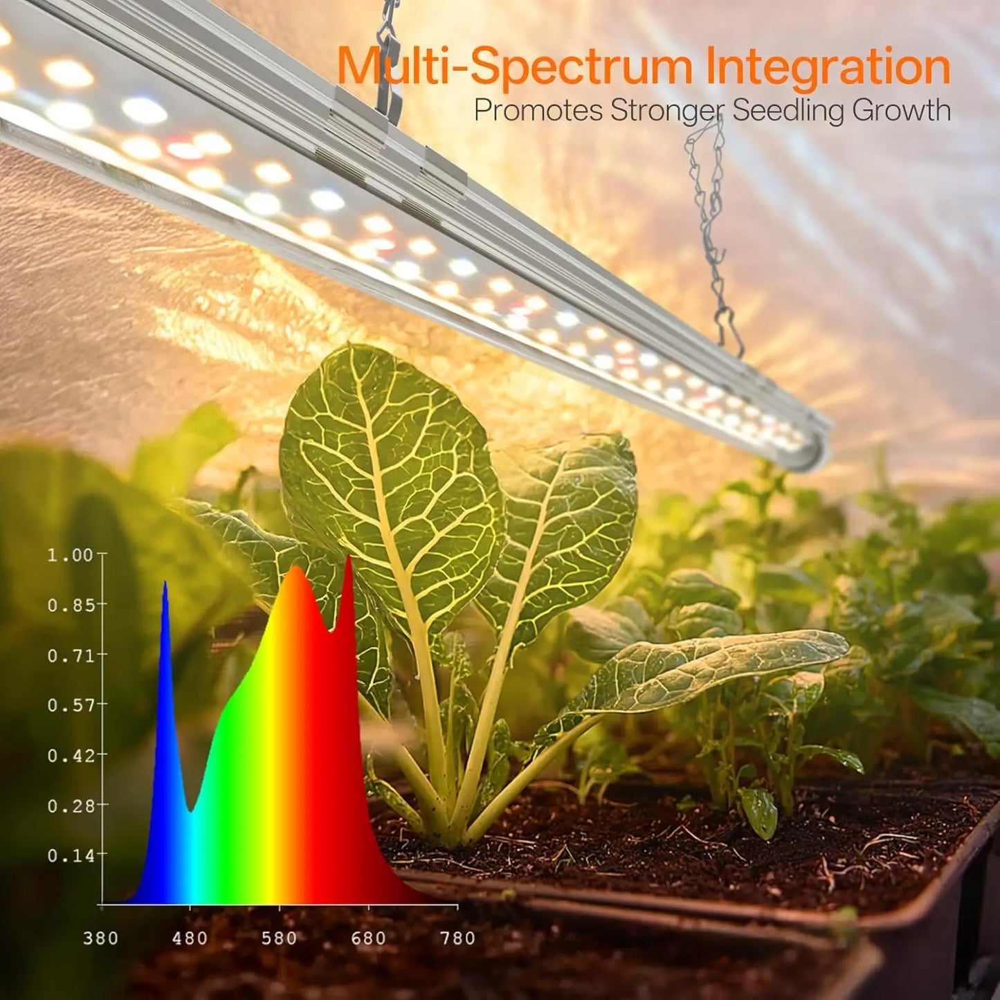 Indoor Greenhouse Grow Tent With Light For Seed Starting