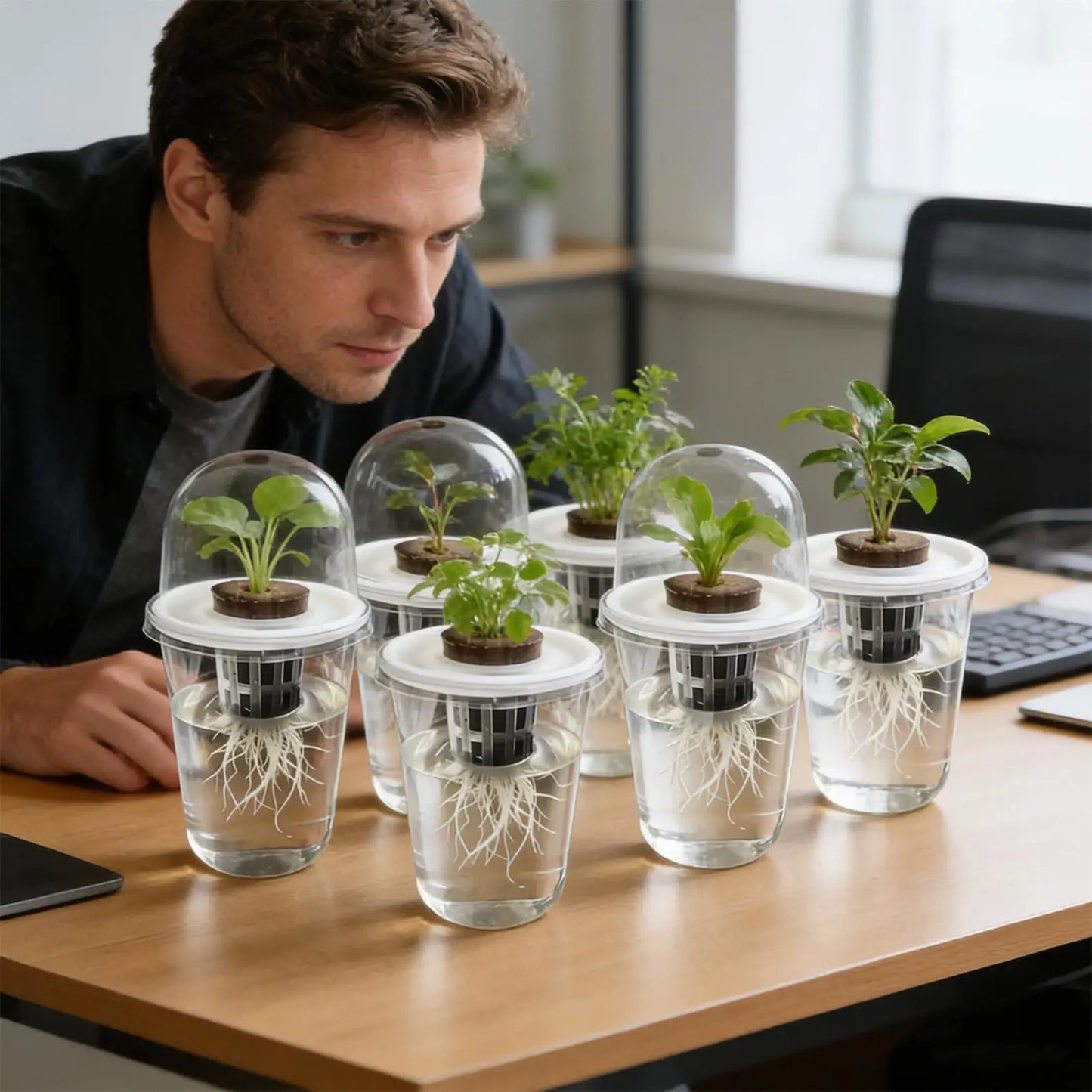 Clear Plant Germination Cups For Hydroponic Seed Starters