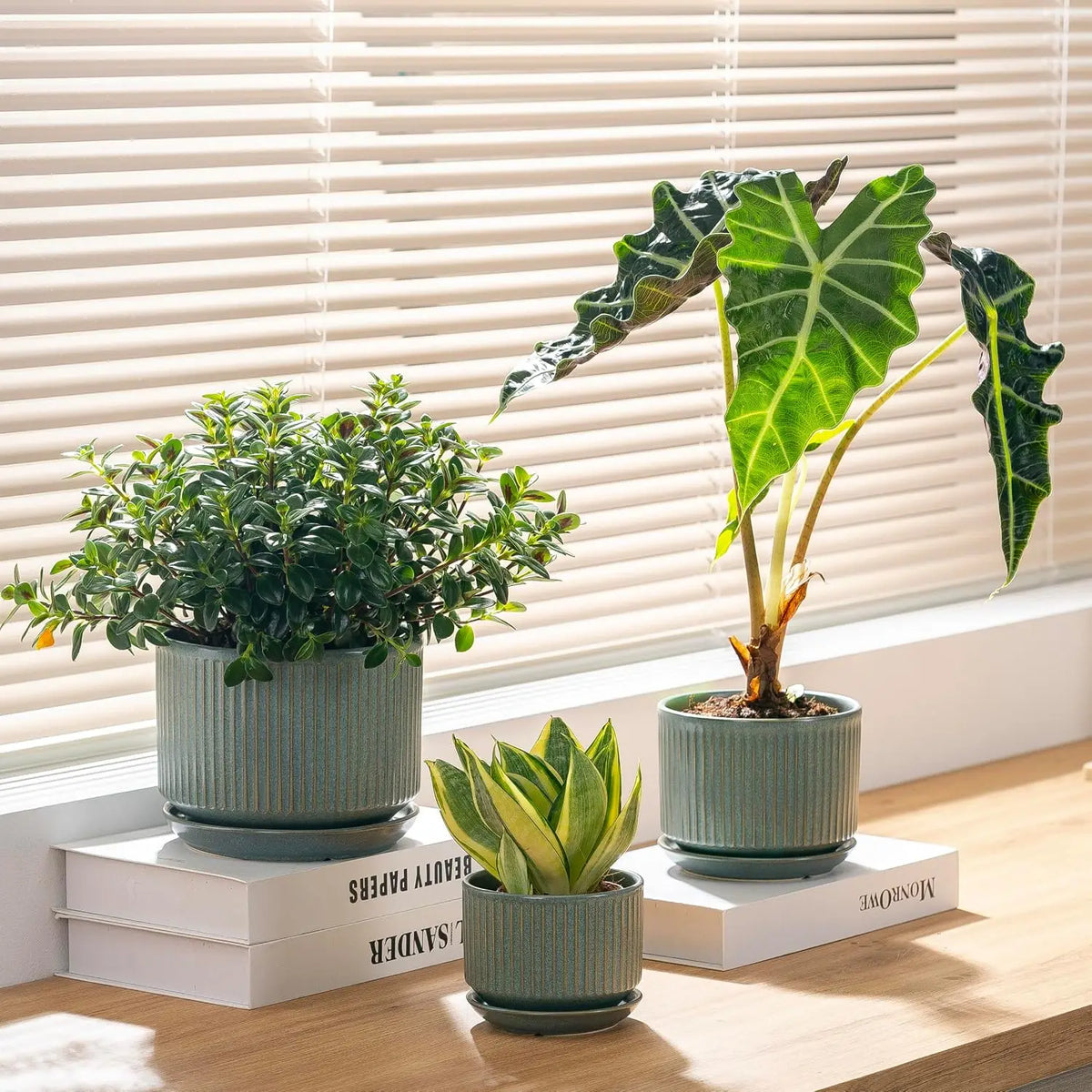 SURE YUESI Ceramic Plant Pots Set of 3, Indoor Outdoor Planters with Drainage Hole and Saucer, Ceramic Flower Pots for Indoor Plants, 4.3+5.5+6.8 Inch, Home, Garden, Patio and Office, Matte Green