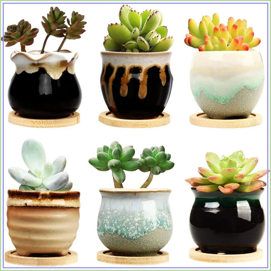 Mini Ceramic Succulent Pots Set of Six with Drainage Holes