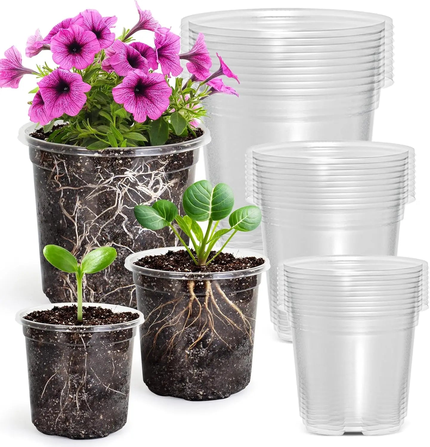Clear Nursery Pots With Drainage Holes Seed Starter Set