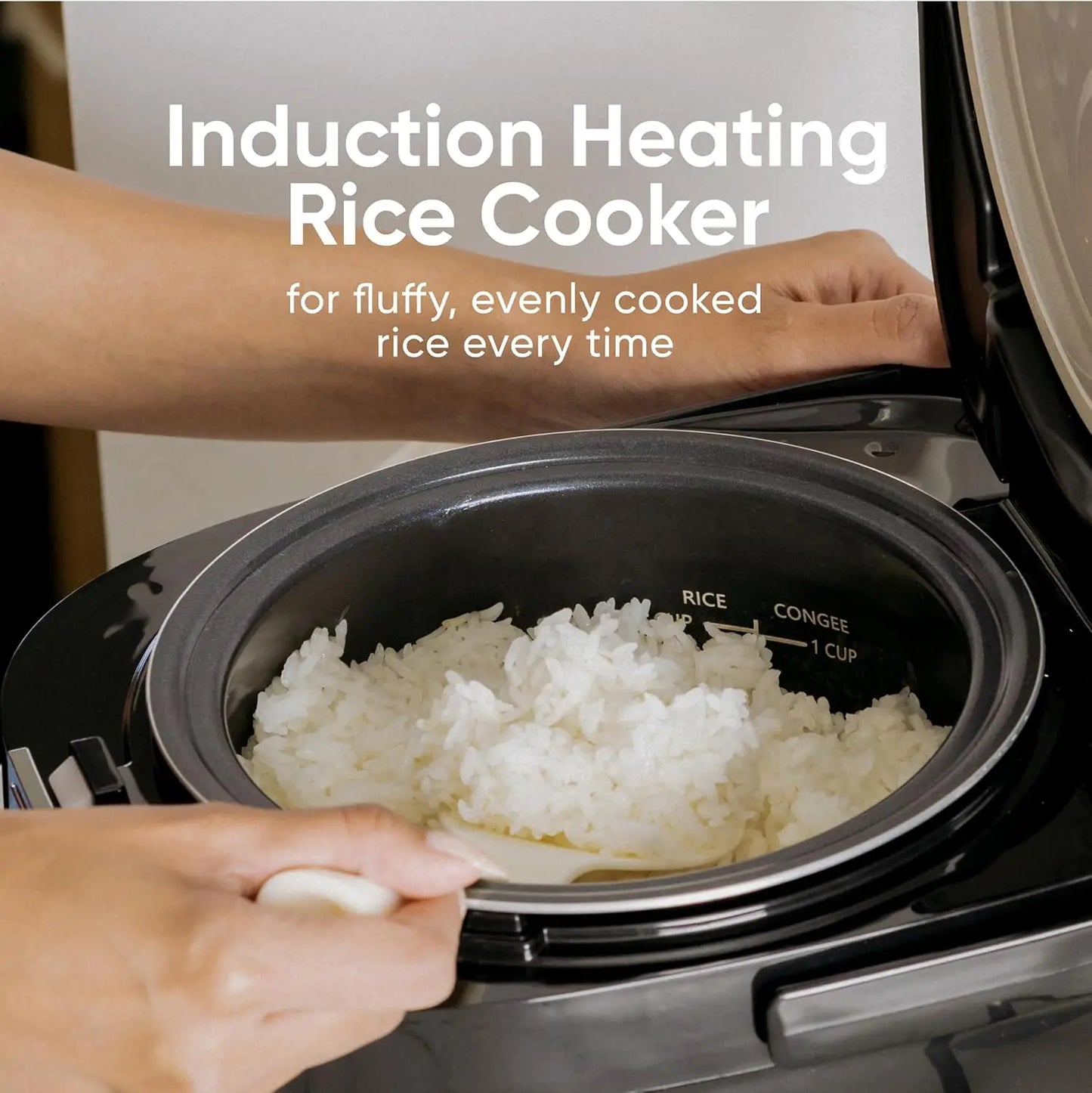Induction Heating Rice Cooker Steamer Warmer Japan Style