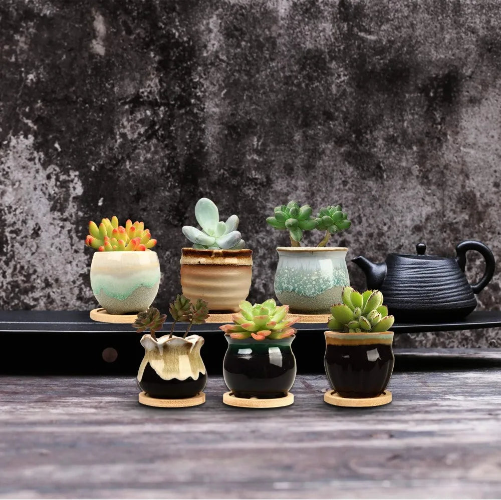 Mini Ceramic Succulent Pots Set of Six with Drainage Holes