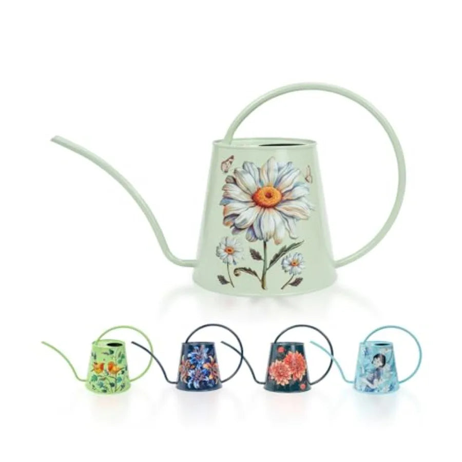 Stainless Steel Watering Can For House Plants Indoor Outdoor