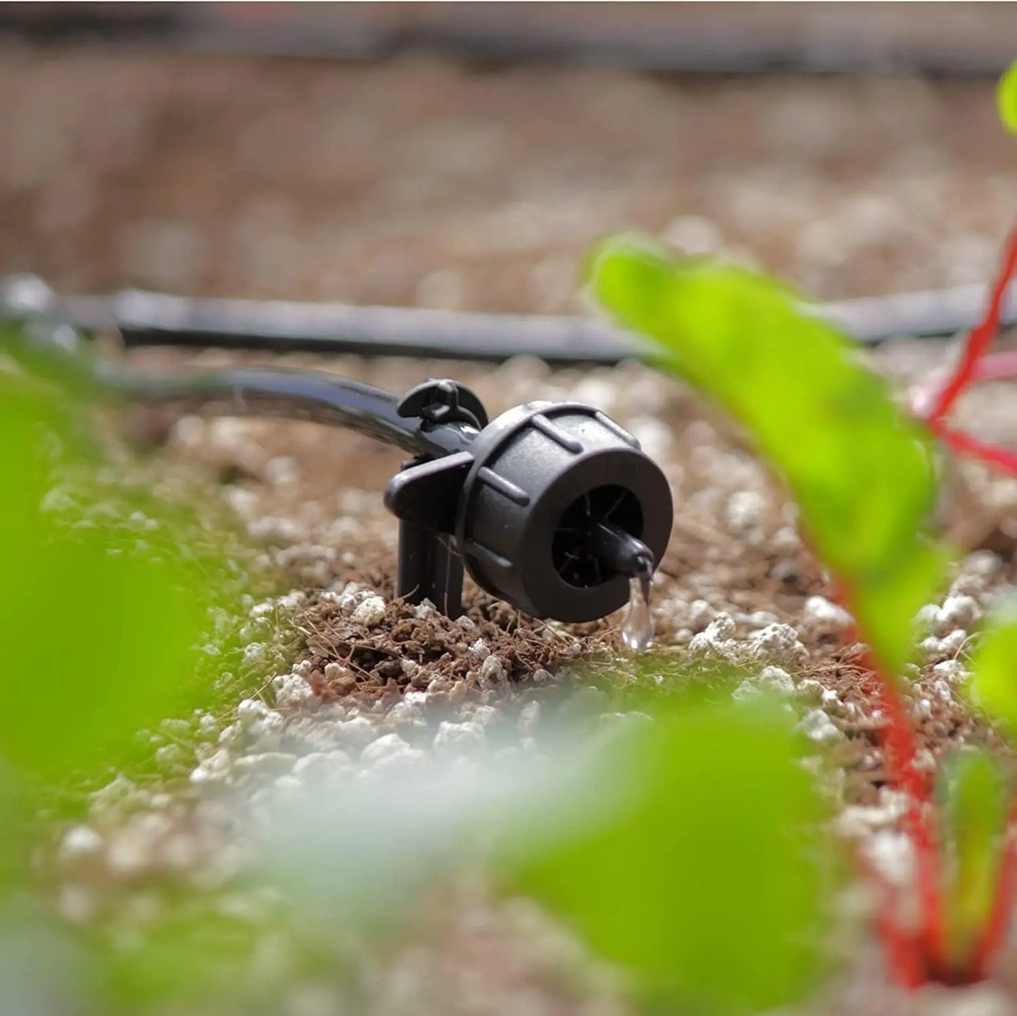 Solar Powered Automatic Watering Drip Irrigation System With 50 Drippers