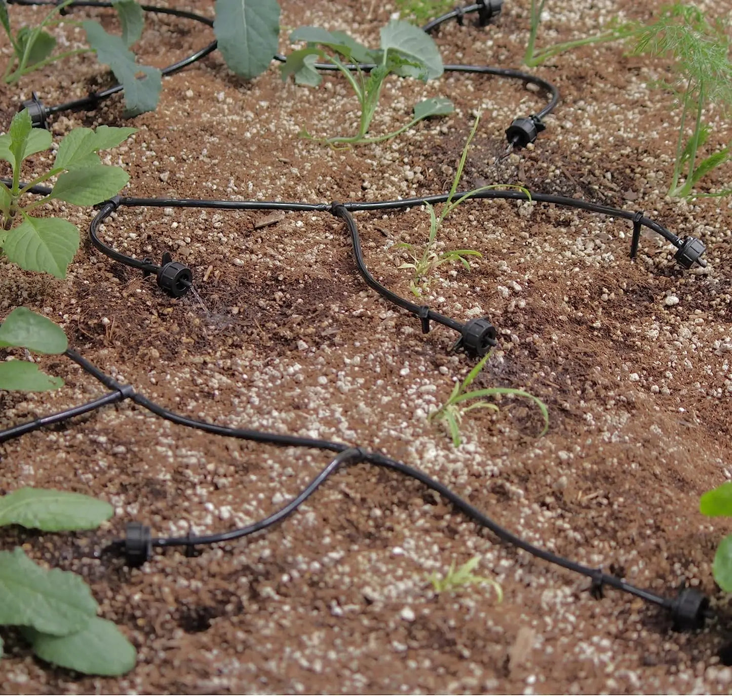 Solar Powered Automatic Watering Drip Irrigation System With 50 Drippers