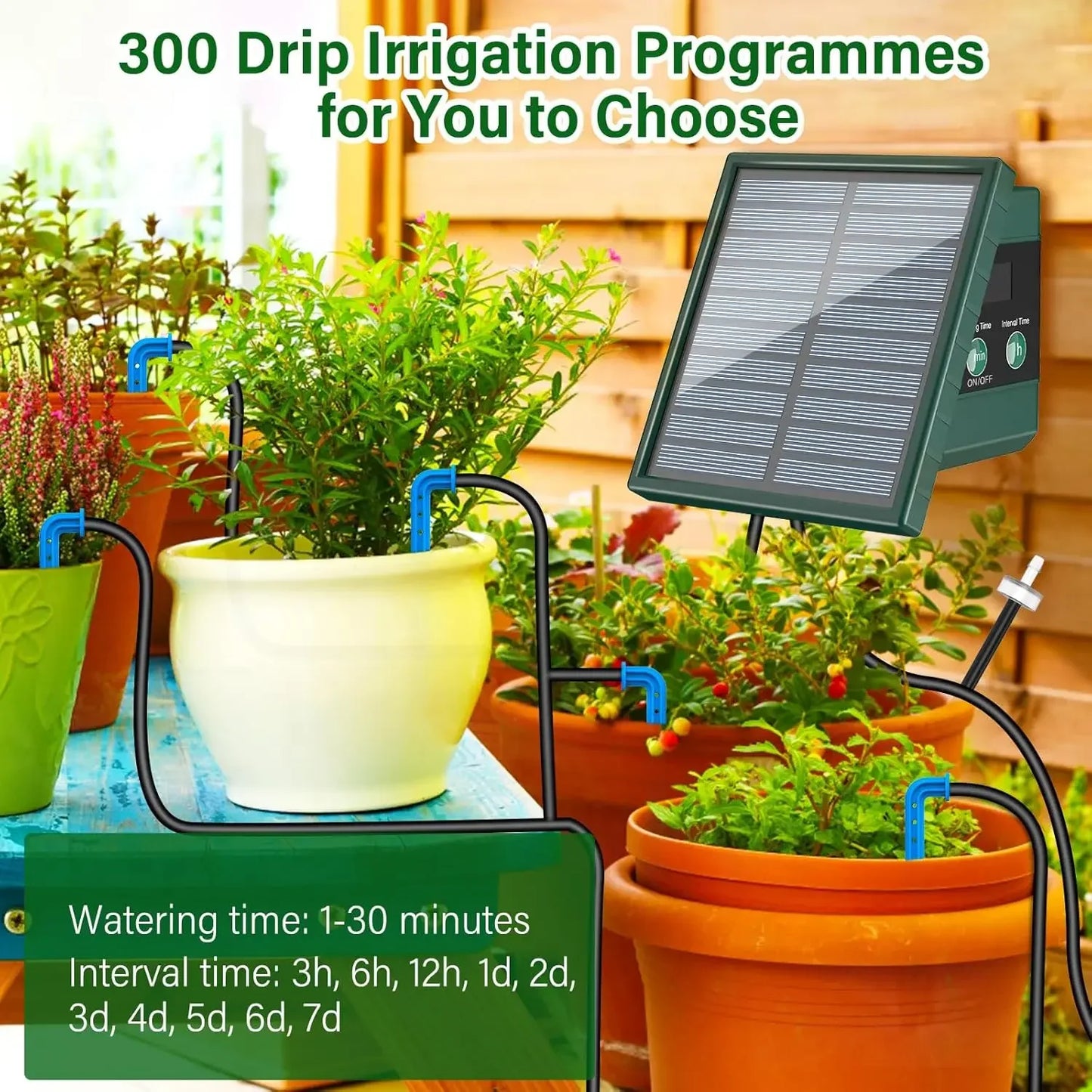 Solar Garden Irrigation System for Balcony with Automatic Drip Kit